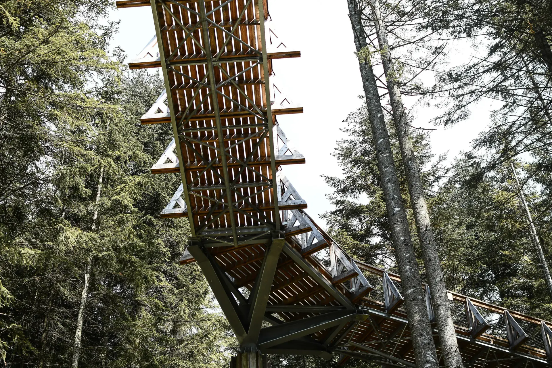 Zdjęcie 1